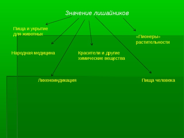 Значение лишайников Пища и укрытие для животных «Пионеры» растительности Народная медицина Красители и другие химические вещества Лихеноиндикация Пища  человека 