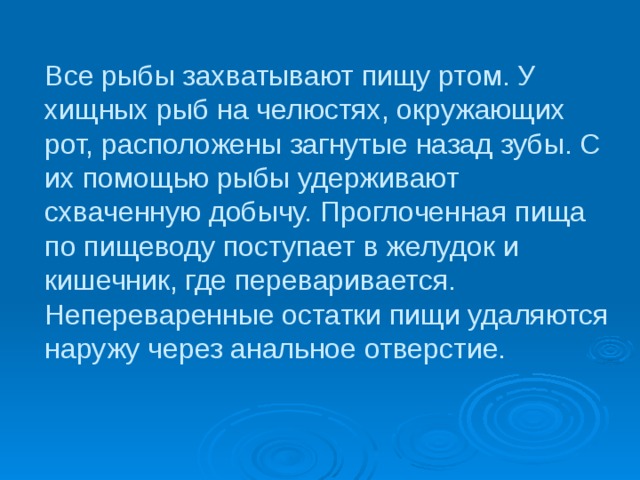  Все рыбы захватывают пищу ртом. У хищных рыб на челюстях, окружающих рот, расположены загнутые назад зубы. С их помощью рыбы удерживают схваченную добычу. Проглоченная пища по пищеводу поступает в желудок и кишечник, где переваривается. Непереваренные остатки пищи удаляются наружу через анальное отверстие.   