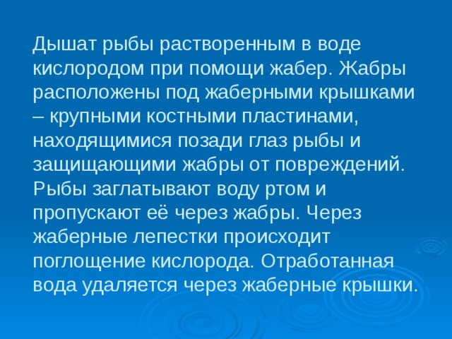 Дышат рыбы растворенным в воде кислородом при помощи жабер. Жабры расположены под жаберными крышками – крупными костными пластинами, находящимися позади глаз рыбы и защищающими жабры от повреждений. Рыбы заглатывают воду ртом и пропускают её через жабры. Через жаберные лепестки происходит поглощение кислорода. Отработанная вода удаляется через жаберные крышки. 