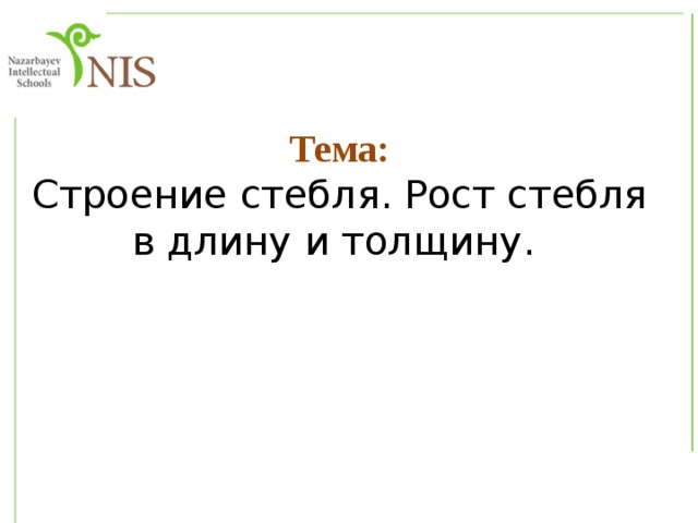Тема: Строение стебля. Рост стебля в длину и толщину.  