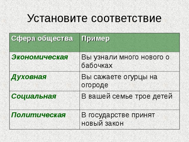 Установите соответствие Сфера общества Пример Экономическая Вы узнали много нового о бабочках Духовная Вы сажаете огурцы на огороде Социальная В вашей семье трое детей Политическая В государстве принят новый закон 
