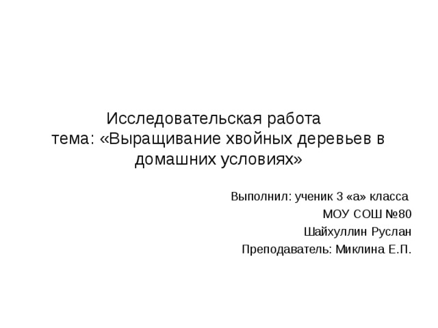 Исследовательская работа  тема: «Выращивание хвойных деревьев в домашних условиях» Выполнил: ученик 3 «а» класса МОУ СОШ №80 Шайхуллин Руслан Преподаватель: Миклина Е.П. 