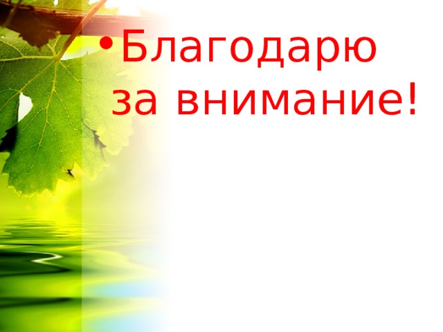 Благодарю за внимание! 