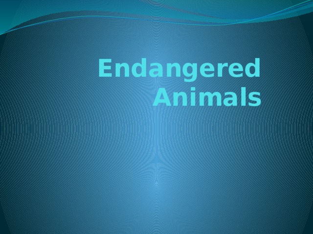 Endangered Animals 