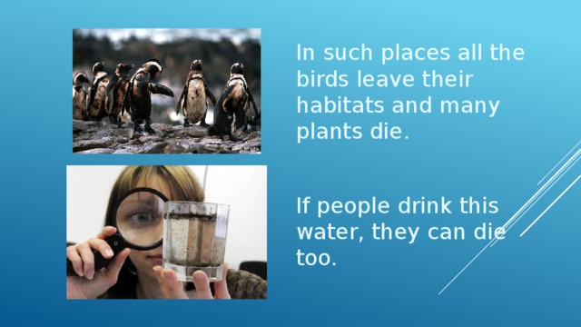 In such places all the birds leave their habitats and many plants die. If people drink this water, they can die too. 