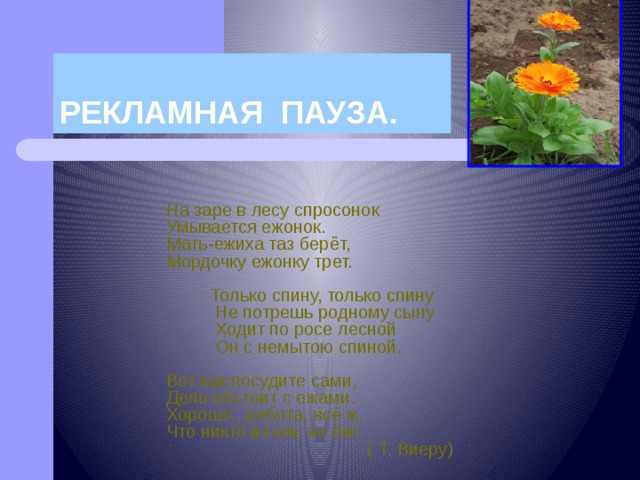РЕКЛАМНАЯ ПАУЗА. На заре в лесу спросонок Умывается ежонок. Мать-ежиха таз берёт, Мордочку ежонку трет.  Только спину, только спину  Не потрешь родному сыну  Ходит по росе лесной  Он с немытою спиной. Вот как посудите сами, Дело обстоит с ежами. Хорошо , ребята, всё ж, Что никто из вас не ёж!  ( Т. Виеру) 