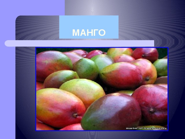 МАНГО 