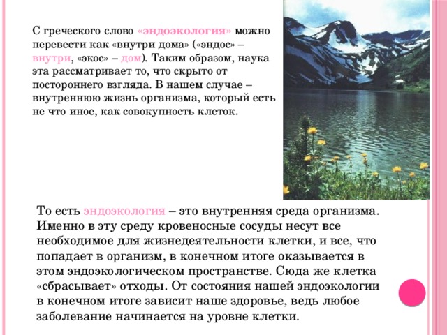 С греческого слово «эндоэкология» можно перевести как «внутри дома» («эндос» – внутри , «экос» – дом ). Таким образом, наука эта рассматривает то, что скрыто от постороннего взгляда. В нашем случае – внутреннюю жизнь организма, который есть не что иное, как совокупность клеток.  То есть эндоэкология – это внутренняя среда организма. Именно в эту среду кровеносные сосуды несут все необходимое для жизнедеятельности клетки, и все, что попадает в организм, в конечном итоге оказывается в этом эндоэкологическом пространстве. Сюда же клетка «сбрасывает» отходы. От состояния нашей эндоэкологии в конечном итоге зависит наше здоровье, ведь любое заболевание начинается на уровне клетки. 