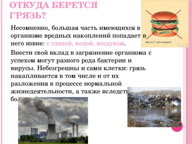 Откуда берется грязь?  Несомненно, большая часть имеющихся в организме вредных накоплений попадает в него извне: с пищей, водой, воздухом .  Внести свой вклад в загрязнение организма с успехом могут разного рода бактерии и вирусы. Небезгрешны и сами клетки: грязь накапливается в том числе и от их разложения в процессе нормальной жизнедеятельности, а также вследствие болезней и травм. 