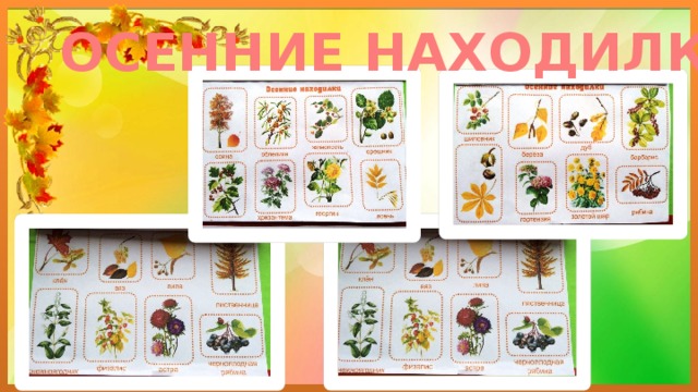 ОСЕННИЕ НАХОДИЛКИ 
