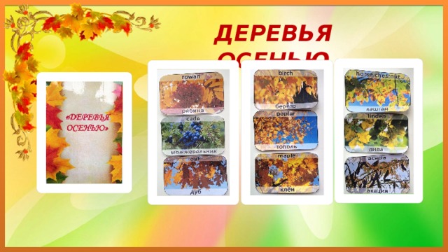 ДЕРЕВЬЯ ОСЕНЬЮ 