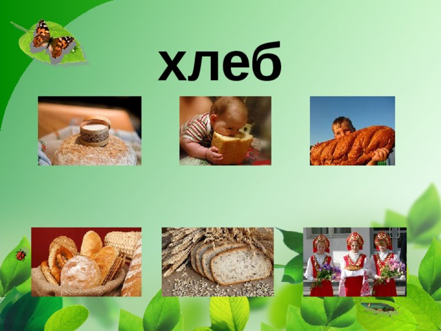 хлеб 