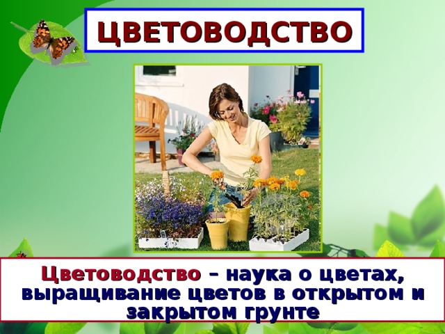 ЦВЕТОВОДСТВО Цветоводство – наука о цветах, выращивание цветов в открытом и закрытом грунте 