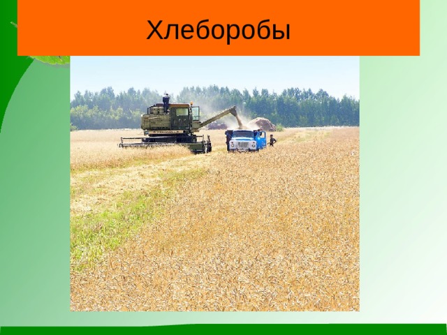 Хлеборобы 