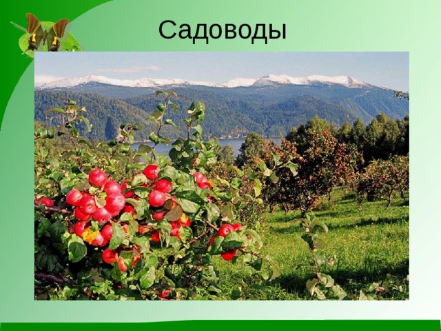 Садоводы 