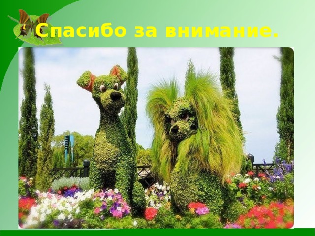 Спасибо за внимание. 