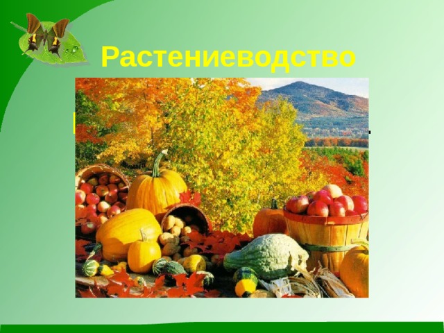 Растениеводство Растениеводство . 