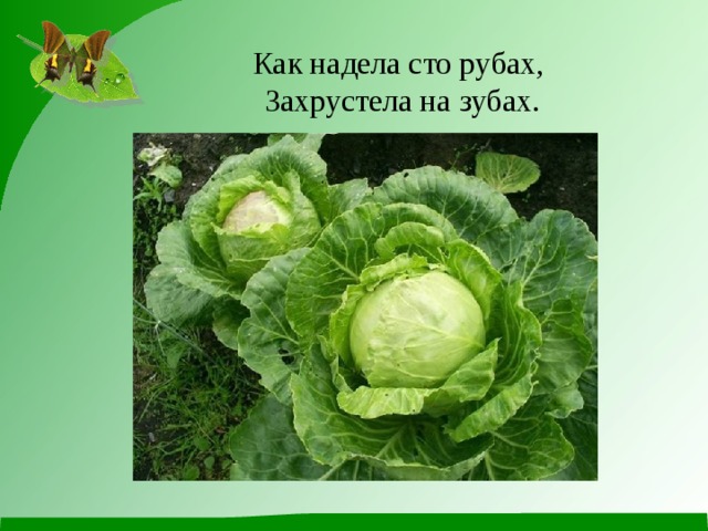 Как надела сто рубах,  Захрустела на зубах. 