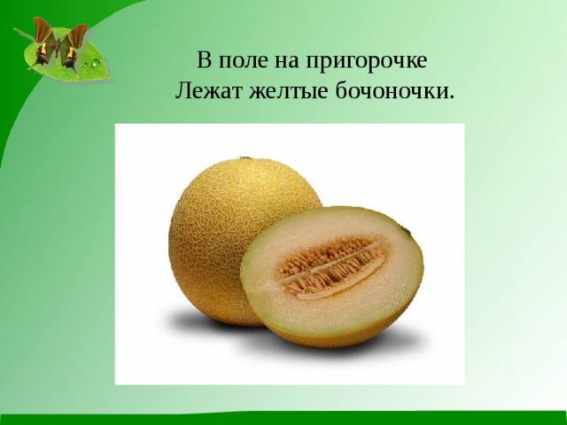 В поле на пригорочке  Лежат желтые бочоночки. 