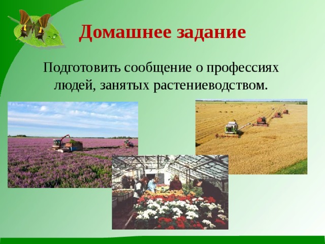 Домашнее задание Подготовить сообщение о профессиях людей, занятых растениеводством. 