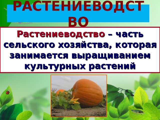 РАСТЕНИЕВОДСТВО Растениеводство – часть сельского хозяйства, которая занимается выращиванием культурных растений 