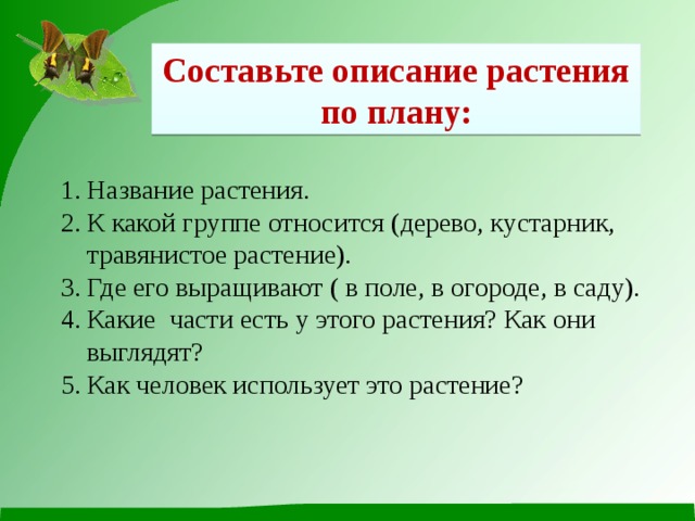 Составьте описание растения по плану: Название растения. К какой группе относится (дерево, кустарник, травянистое растение). Где его выращивают ( в поле, в огороде, в саду). Какие части есть у этого растения? Как они выглядят? Как человек использует это растение? 
