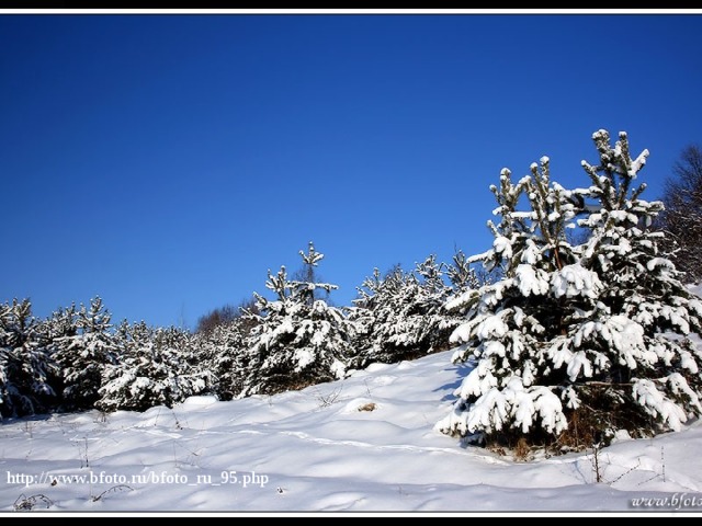 http://www.bfoto.ru/bfoto_ru_95.php 