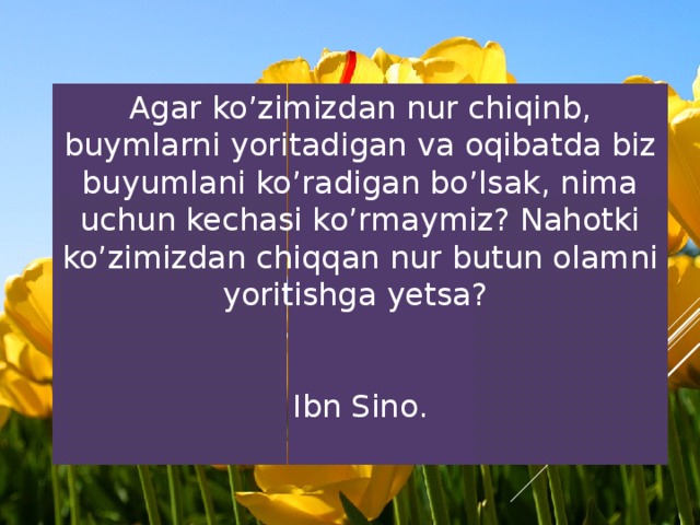 Agar ko’zimizdan nur chiqinb, buymlarni yoritadigan va oqibatda biz buyumlani ko’radigan bo’lsak, nima uchun kechasi ko’rmaymiz? Nahotki ko’zimizdan chiqqan nur butun olamni yoritishga yetsa?         Ibn Sino. 
