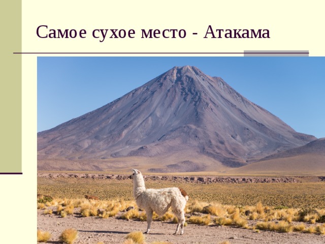 Самое сухое место - Атакама 