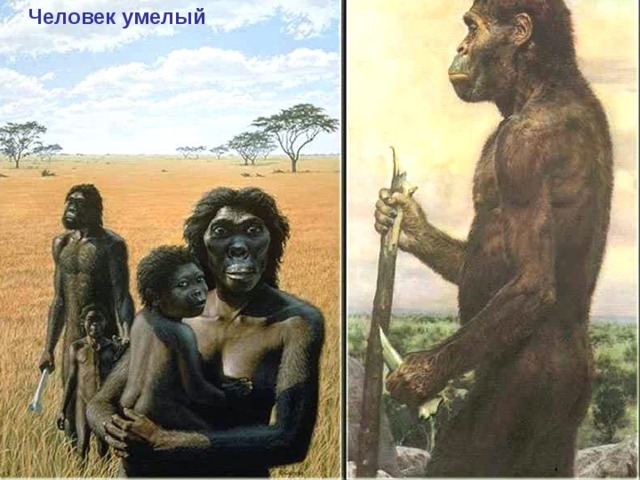 Человек умелый 