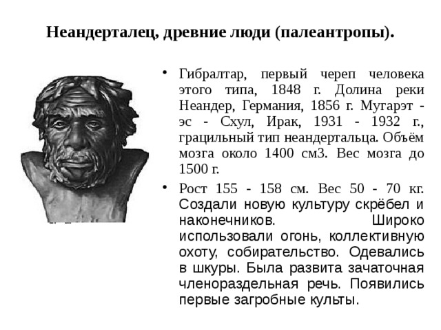 Неандерталец, древние люди (палеантропы).   Гибралтар, первый череп человека этого типа, 1848 г. Долина реки Неандер, Германия, 1856 г. Мугарэт - эс - Схул, Ирак, 1931 - 1932 г., грацильный тип неандертальца. Объём мозга около 1400 см3. Вес мозга до 1500 г. Рост 155 - 158 см. Вес 50 - 70 кг. Создали новую культуру скрёбел и наконечников. Широко использовали огонь, коллективную охоту, собирательство. Одевались в шкуры. Была развита зачаточная членораздельная речь. Появились первые загробные культы. 