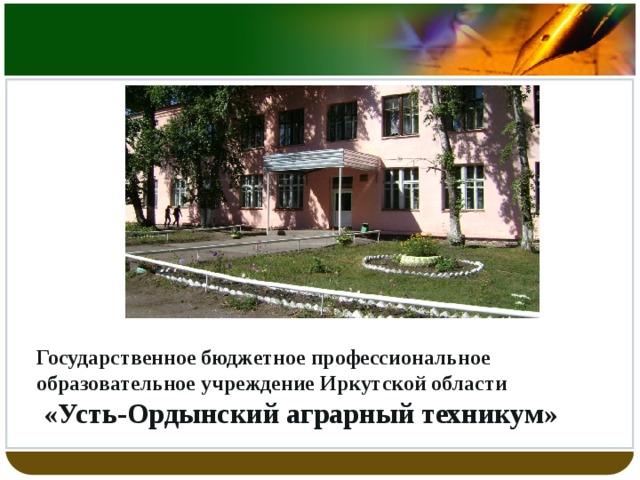 Государственное бюджетное профессиональное образовательное учреждение Иркутской области  «Усть-Ордынский аграрный техникум» 