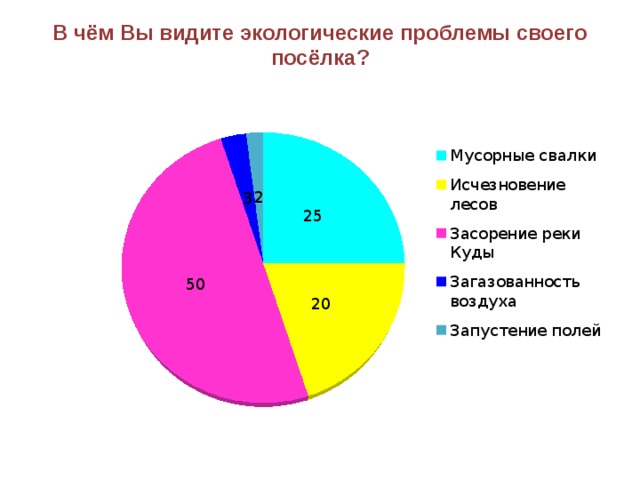 В чём Вы видите экологические проблемы своего посёлка? 
