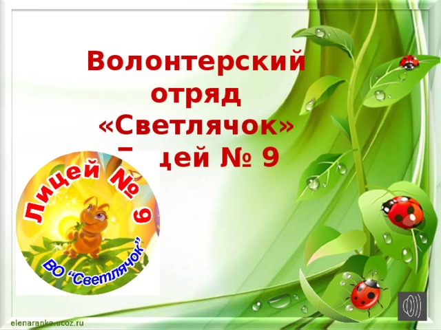 Волонтерский отряд «Светлячок»  Лицей № 9 