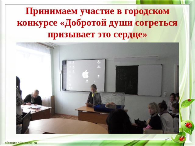 Принимаем участие в городском конкурсе «Добротой души согреться призывает это сердце» 
