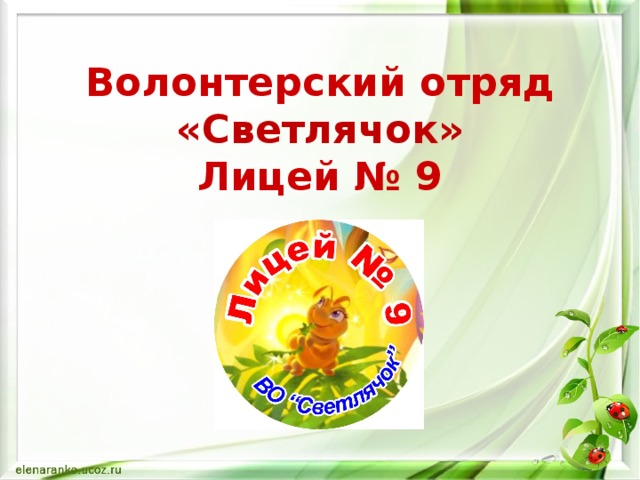 Волонтерский отряд «Светлячок»  Лицей № 9 