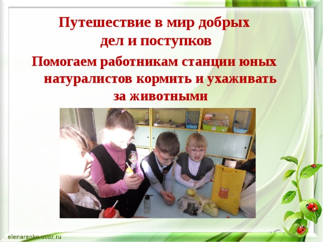 Путешествие в мир добрых  дел и поступков Помогаем работникам станции юных натуралистов кормить и ухаживать за животными 