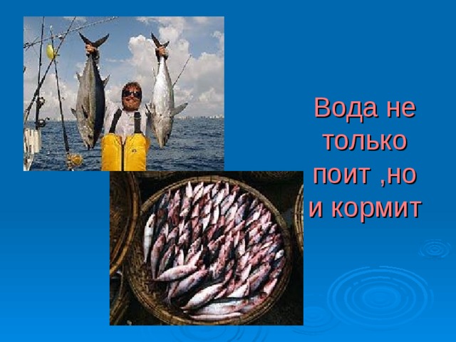 Вода не только поит ,но и кормит 