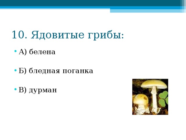 10. Ядовитые грибы: А) белена  Б) бледная поганка  В) дурман 