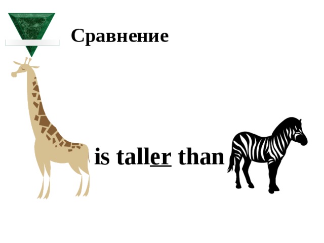 Сравнение   is tall er than  