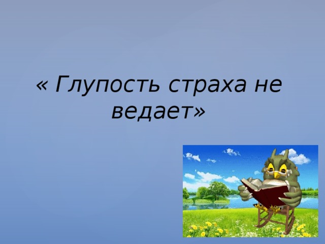 « Глупость страха не ведает» 