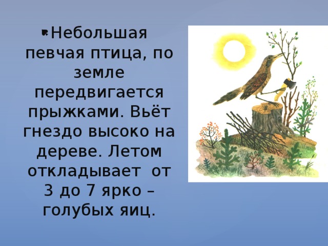Небольшая певчая птица, по земле передвигается прыжками. Вьёт гнездо высоко на дереве. Летом откладывает от 3 до 7 ярко – голубых яиц. 