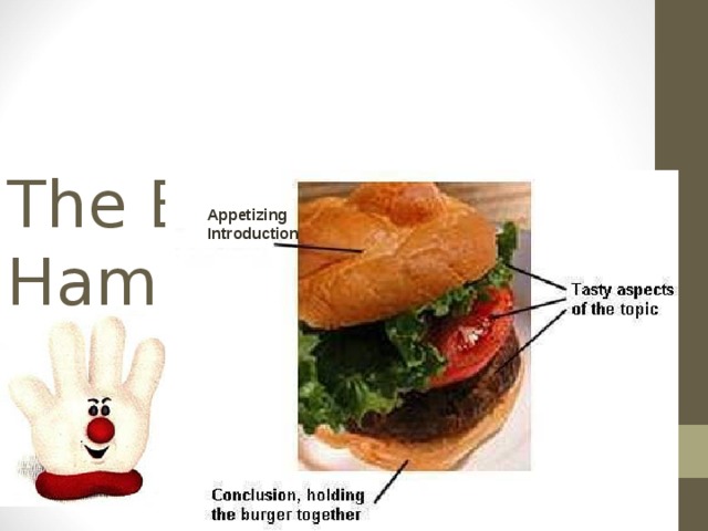 The Essay: Hamburger Style Appetizing  Introduction  