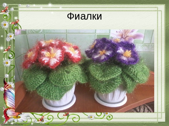 Фиалки 