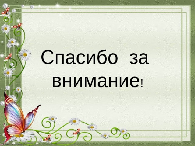 Спасибо за внимание ! 
