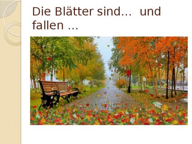 Die Blätter sind… und fallen … 