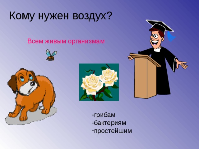 Кому нужен воздух? Всем живым организмам грибам бактериям простейшим 