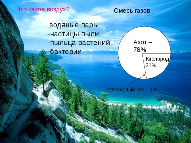 Что такое воздух? Смесь газов водяные пары -частицы пыли -пыльца растений -бактерии Азот – 78% Кислород – 21% Углекислый газ – 1% 