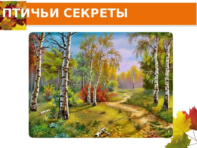 ПТИЧЬИ СЕКРЕТЫ 