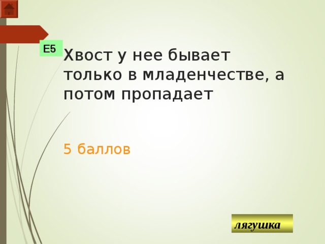 Е5 Хвост у нее бывает только в младенчестве, а потом пропадает    5 баллов лягушка  